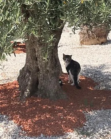 Alojamento de Acomodação e Pequeno-almoço Cap'nomad Nomade Patio Piscine Agde